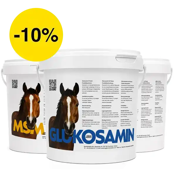 Rubino Veterinær pakke med 2 bøtter MSM og 1 bøtte Glucosamin 1 kg – til støtte for sunde led, sener og brusk hos heste